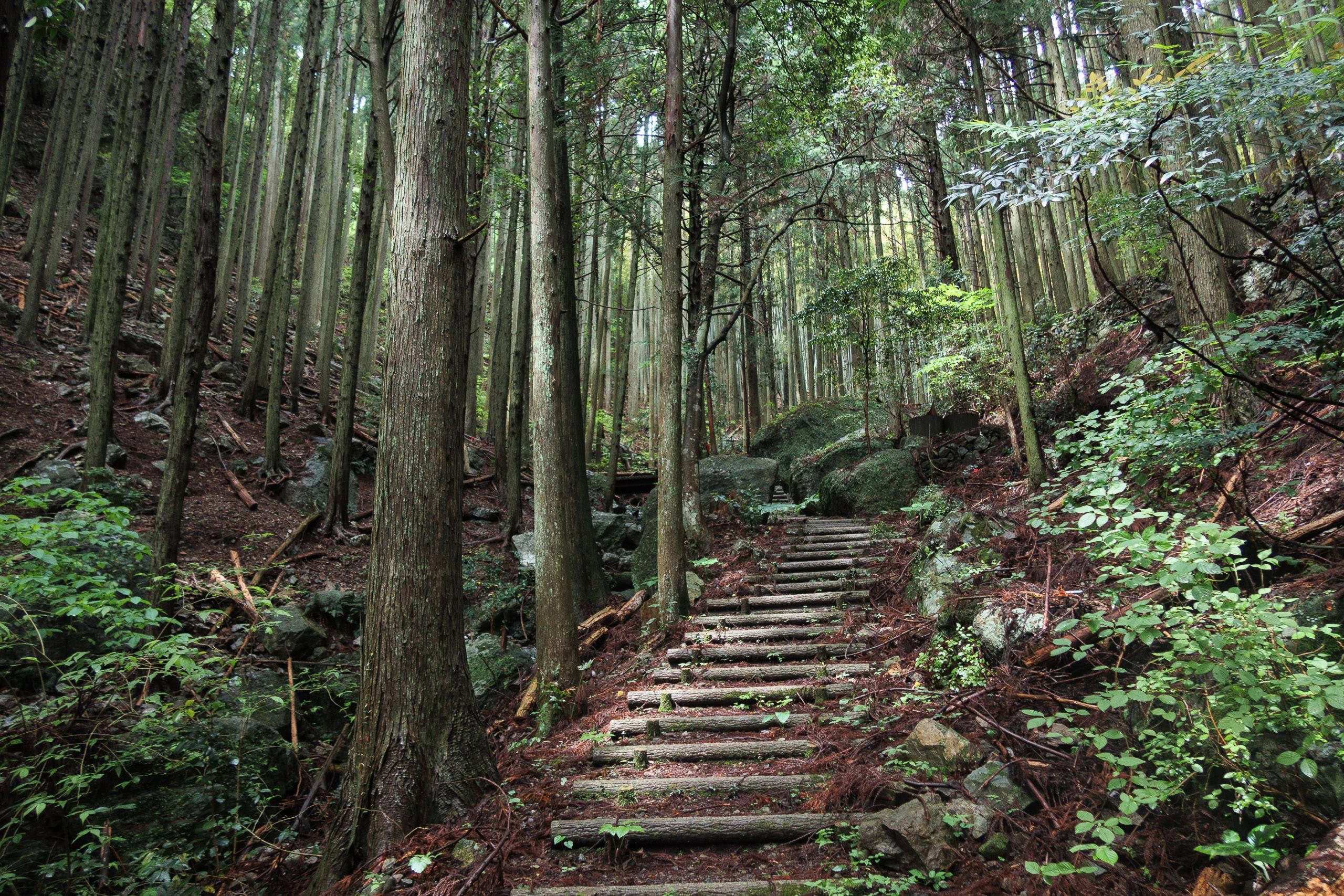 ⛩️ 제21번 후다쇼 태룡사 (다이니주이치반 후다쇼 타이류지) 이미지 12